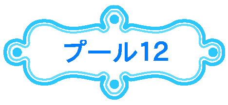 v[12