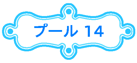 v[14